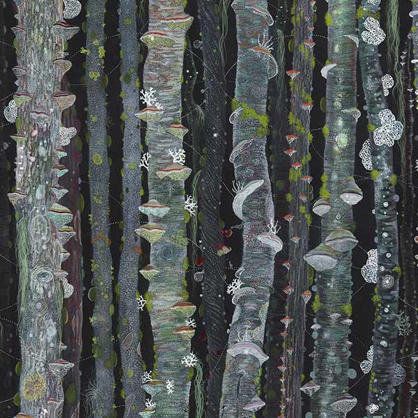 illustration of lichen and fungus growing on trees