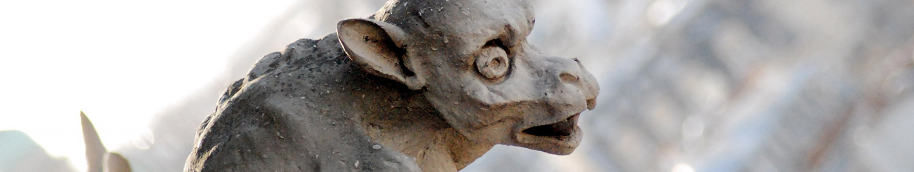 a gargoyle on Notre Dame Cathedral