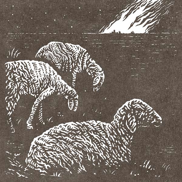 illustration of three sheep in a dark field