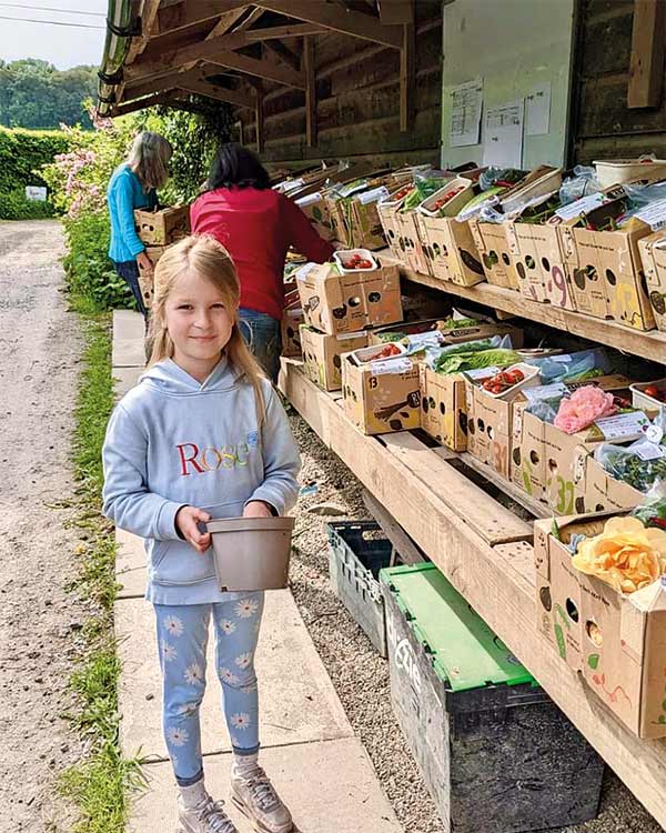 a girl standing next to boxes of fresh farm produce