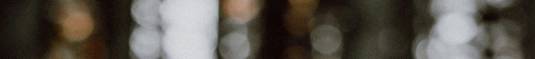 bokeh light in forest