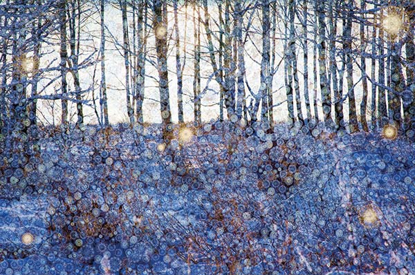 illustration of a winter dawn in a forest