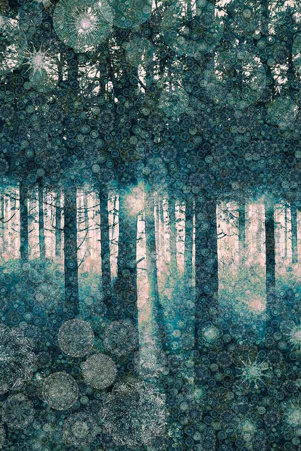 illustration of the sun shining through a forest