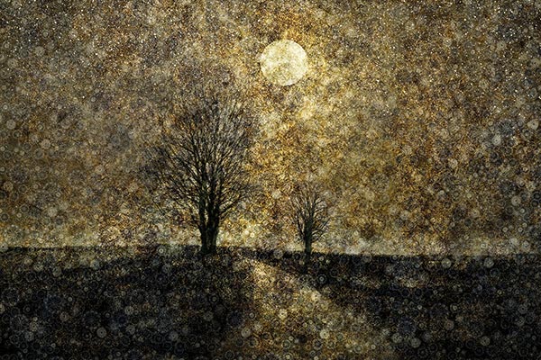 illustration of a winter landscape