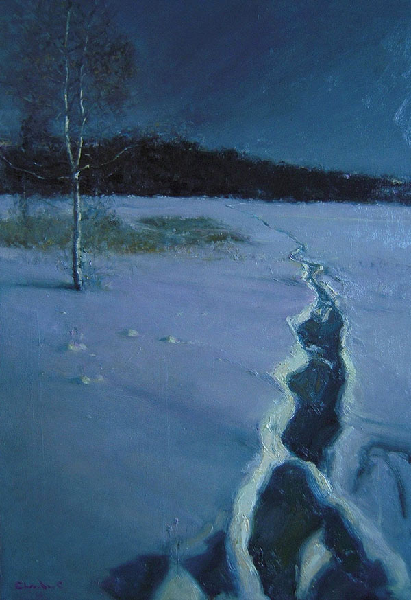 tracks in the snow on a moonlit night