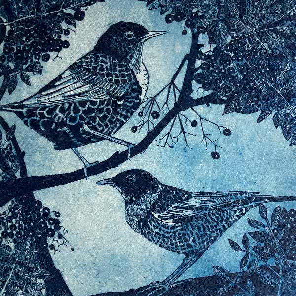 illustration of two birds in branches of a tree