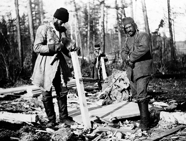 men working in the woods