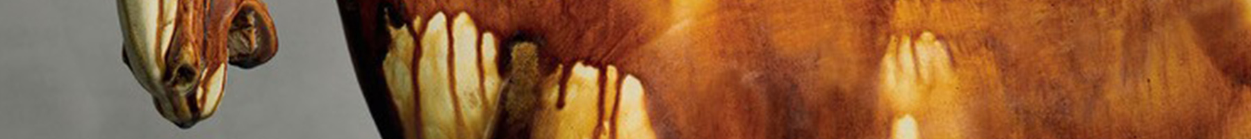 ceramic horse from the Tang Dynasty, China