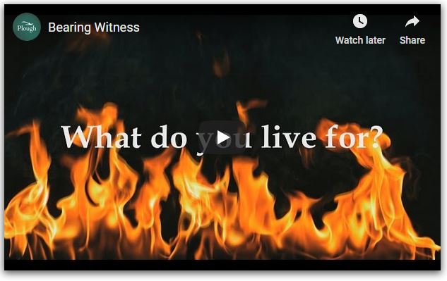 Bearing Witness Video